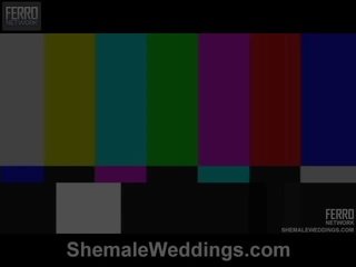 Shemale Weddings Proudly Presents Senna, Camile, Patricia_bismarck In Porn Scene
