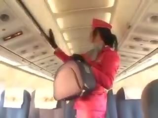 Sexy stewardeza sugand pula înainte cunnilingus