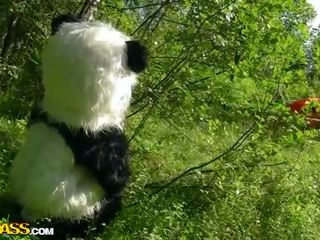 Malo rdeča jahanje pokrov fukanje s panda v na wood video